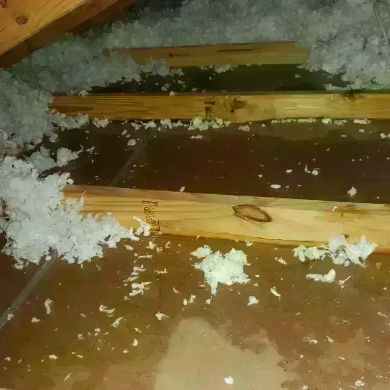 Attic Water Damage in Meggett, SC