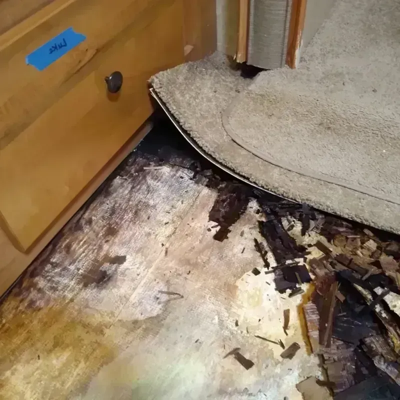 Best Wood Floor Water Damage Service in Meggett, SC